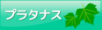 プラタナス